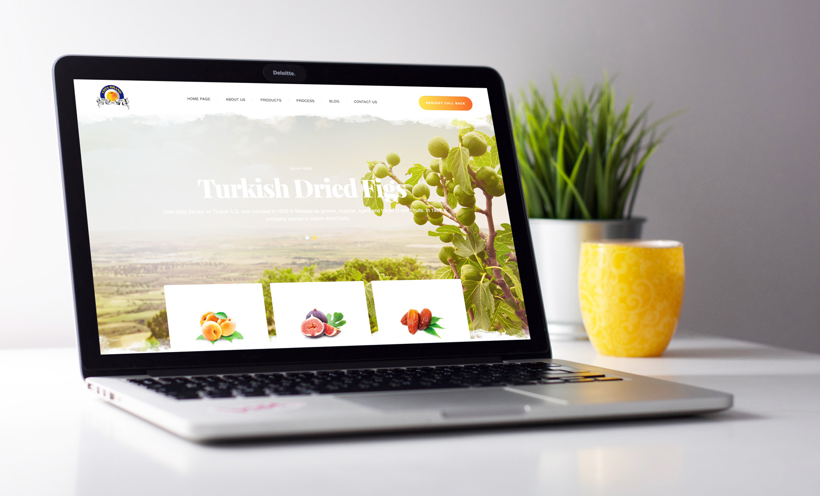 Creas Creative Tasarım ve Reklam Ajansı İzmir - Usta Food Web Site Tasarımı